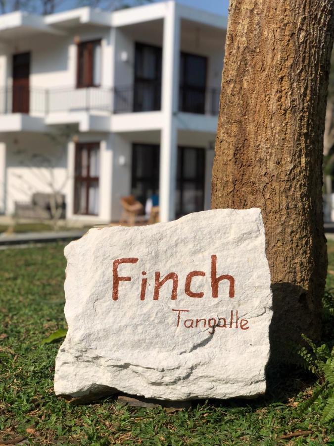 Finch แทนกาลเล ภายนอก รูปภาพ