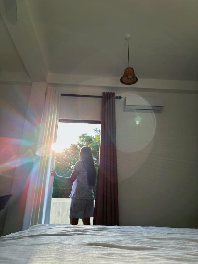 Finch แทนกาลเล ภายนอก รูปภาพ